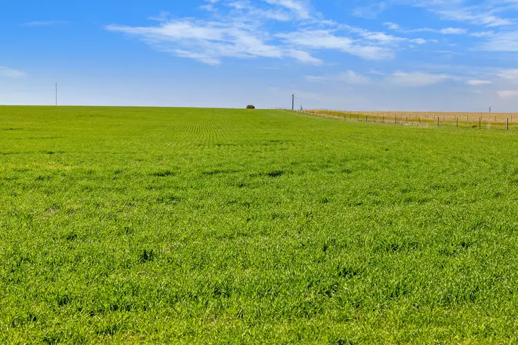 Third view of Homely rural property listing, 'Reserve' Riley Road, Mintaro SA 5415