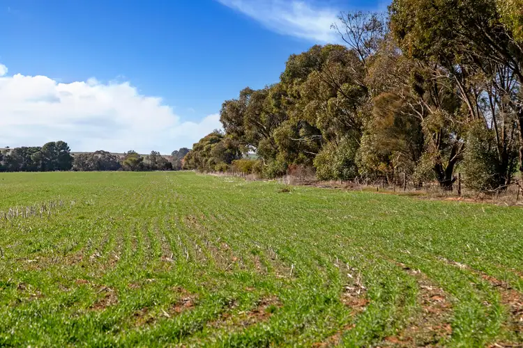 Fourth view of Homely rural property listing, 'Reserve' Riley Road, Mintaro SA 5415