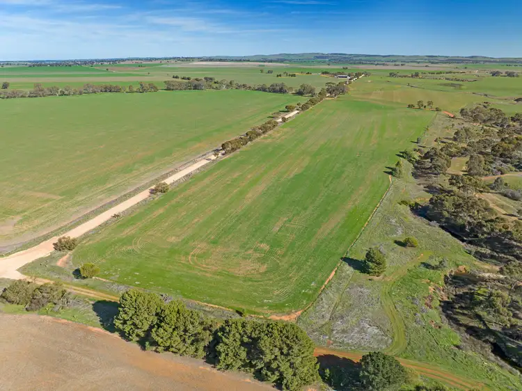 Fifth view of Homely rural property listing, 'Reserve' Riley Road, Mintaro SA 5415