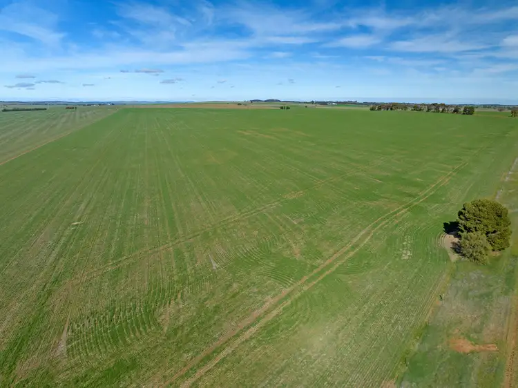 Seventh view of Homely rural property listing, 'Reserve' Riley Road, Mintaro SA 5415