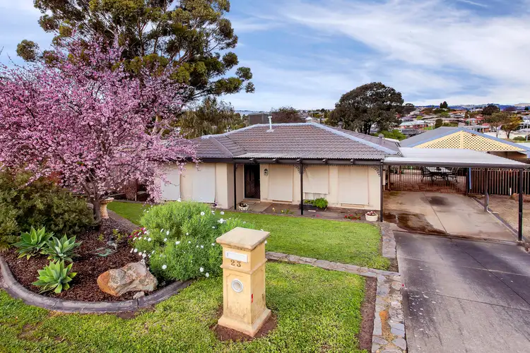 23 Palomino Parade, Wynn Vale SA 5127