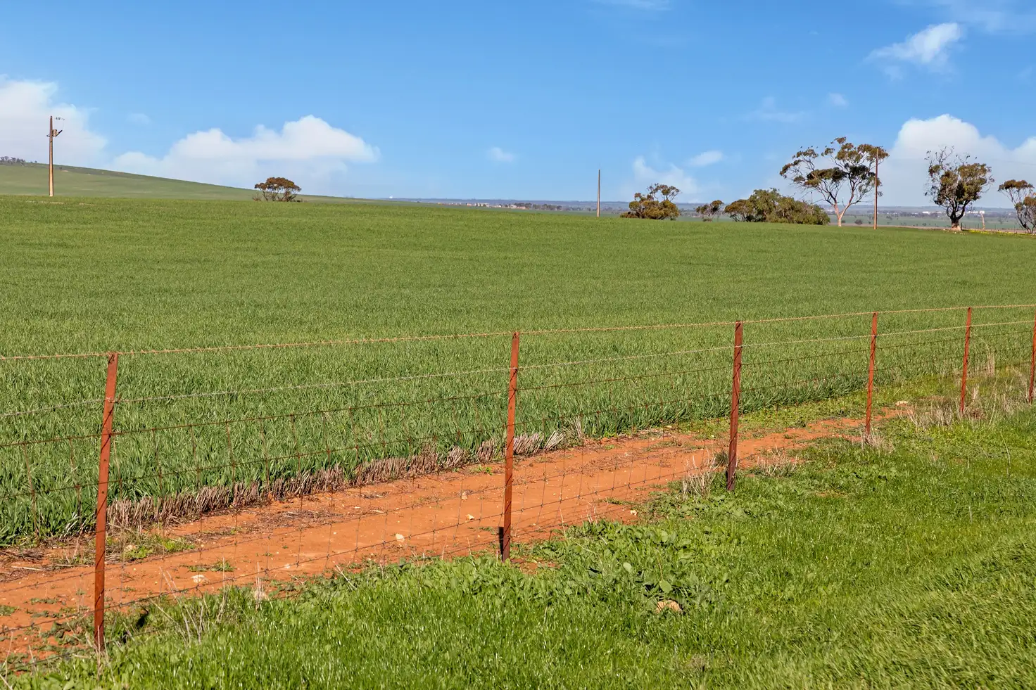Main view of Homely rural property listing, 'Allanbie' Pipeline Road, Nantawarra SA 5550