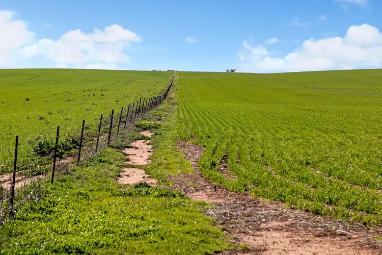 Seventh view of Homely rural property listing, 'Allanbie' Pipeline Road, Nantawarra SA 5550