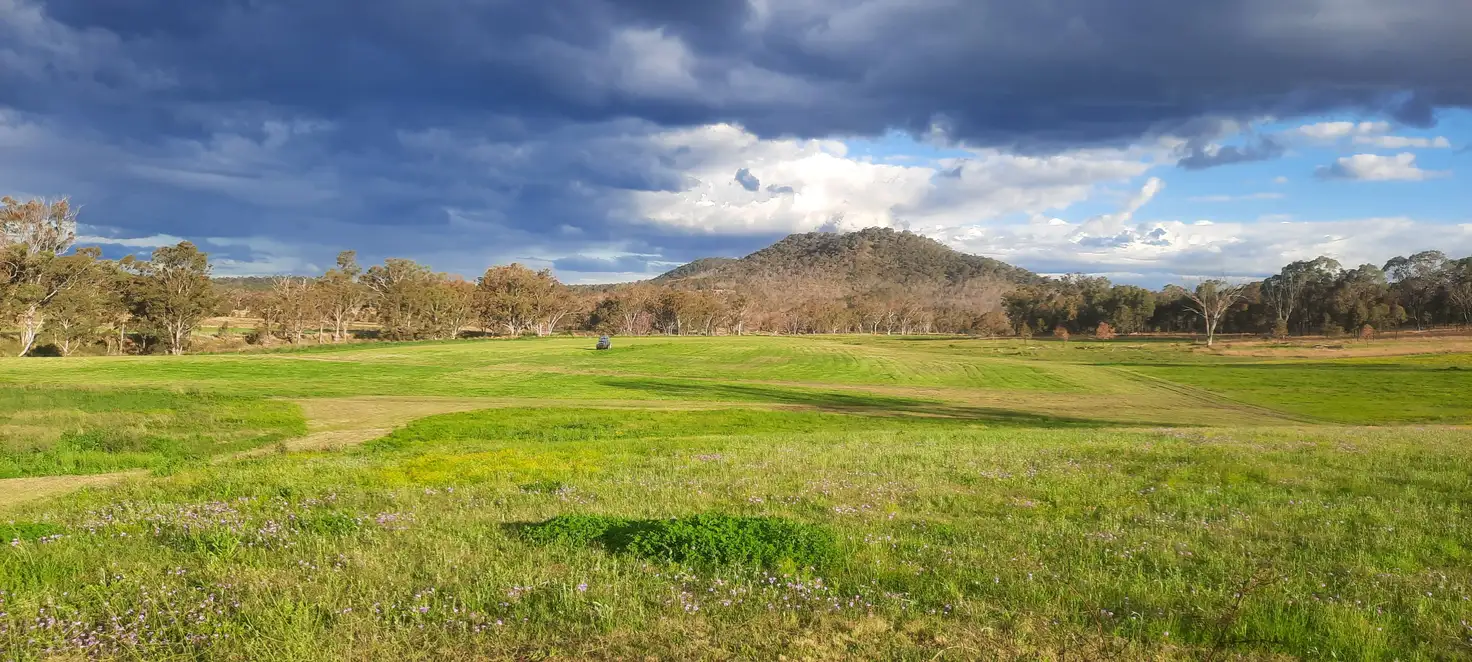 Main view of Homely rural property listing, 2 Leyburn Forestry Road, Thanes Creek QLD 4370