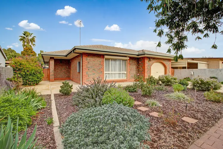 199 Seventeenth Street, Renmark SA 5341