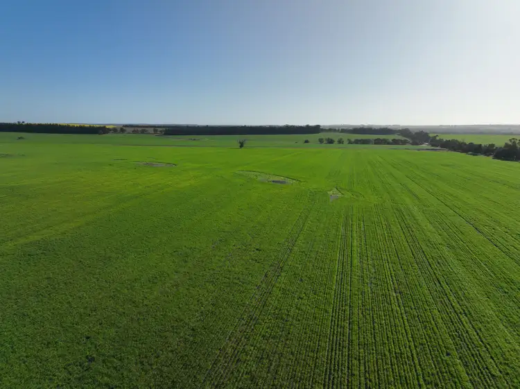 Main view of Homely rural property listing, 133 Johnston Road, Moonies Hill WA 6320