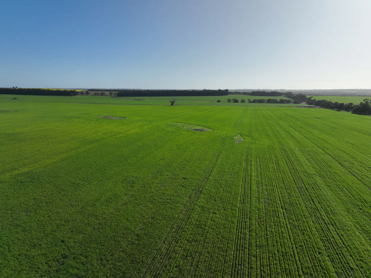 Main view of Homely rural property listing, 133 Johnston Road, Moonies Hill WA 6320