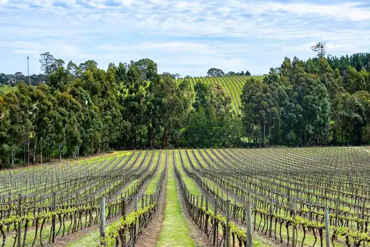 Fifth view of Homely land listing, LOT 89 Inverbrackie Close, Woodside SA 5244