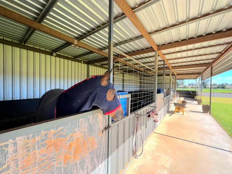 Fifth view of Homely house listing, "Mystery Park"/250 Henry Parkes Way, Parkes NSW 2870