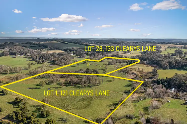 121 & 133 Clearys Lane, Wildes Meadow NSW 2577