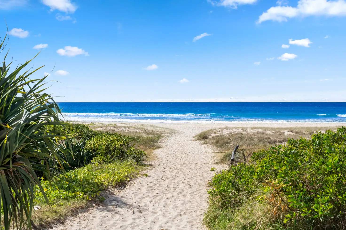 Main view of Homely unit listing, 3/299 Golden Four Drive, Tugun QLD 4224