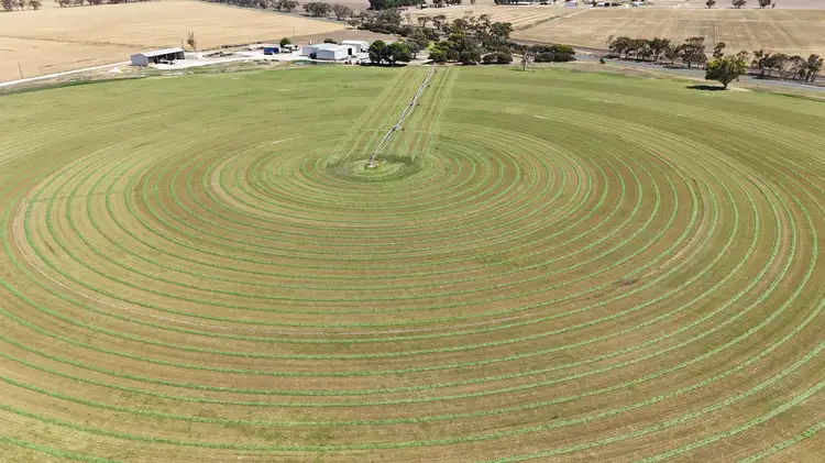 Second view of Homely rural property listing, 16472 Dukes Highway, Bordertown SA 5268