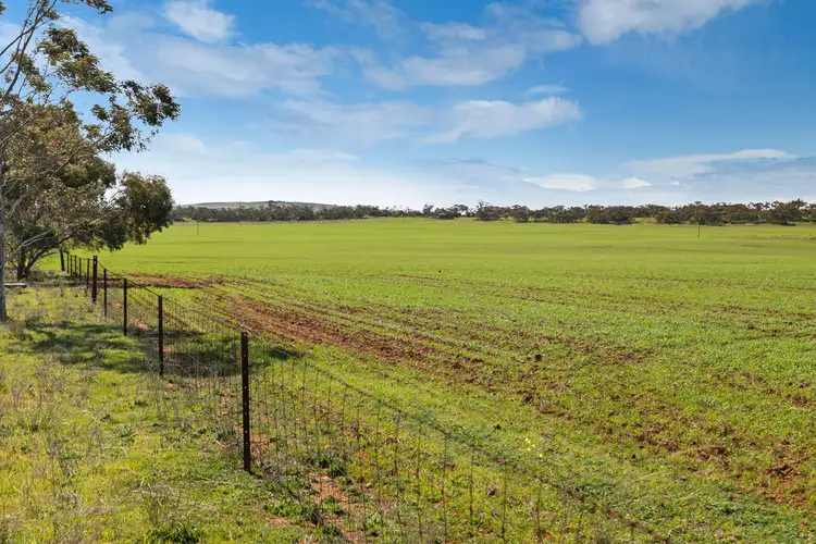 Main view of Homely rural property listing, 'Yangya' Powerline Road, Gladstone SA 5473
