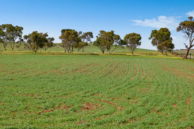 Second view of Homely rural property listing, 'Yangya' Powerline Road, Gladstone SA 5473