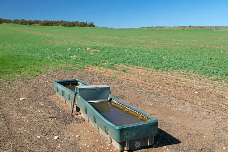 Third view of Homely rural property listing, 'Yangya' Powerline Road, Gladstone SA 5473