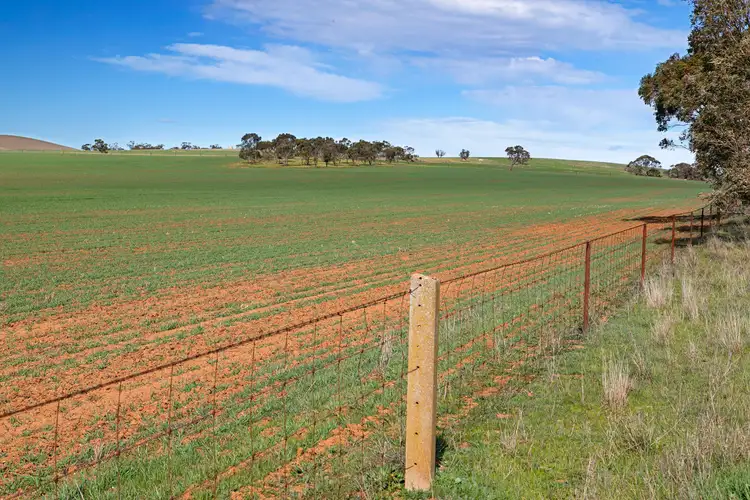 Fourth view of Homely rural property listing, 'Yangya' Powerline Road, Gladstone SA 5473