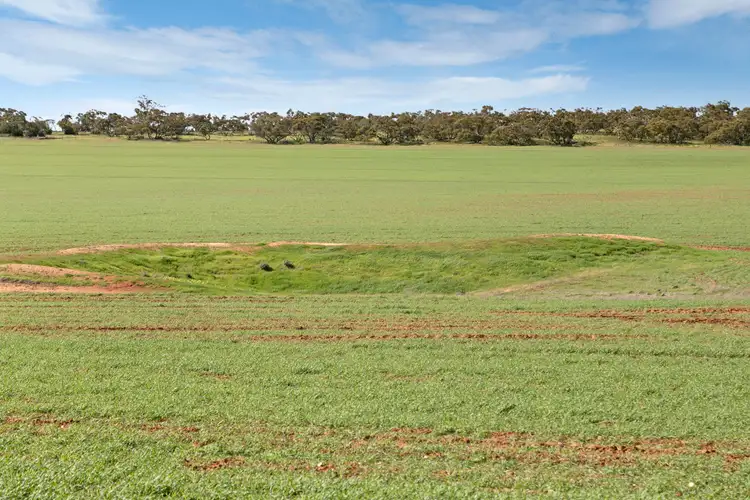 Fifth view of Homely rural property listing, 'Yangya' Powerline Road, Gladstone SA 5473