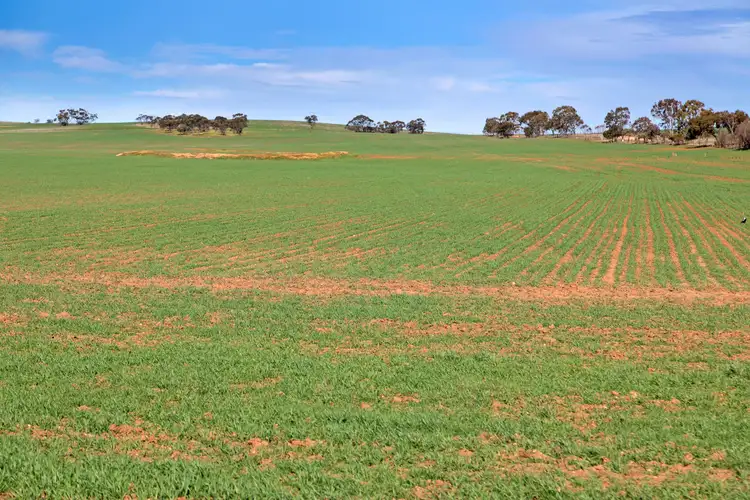 Sixth view of Homely rural property listing, 'Yangya' Powerline Road, Gladstone SA 5473