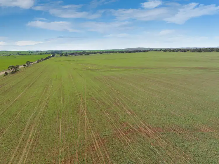 Seventh view of Homely rural property listing, 'Yangya' Powerline Road, Gladstone SA 5473