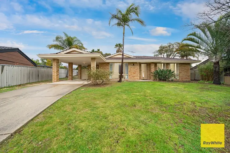 41 Leicester Square, Alexander Heights WA 6064