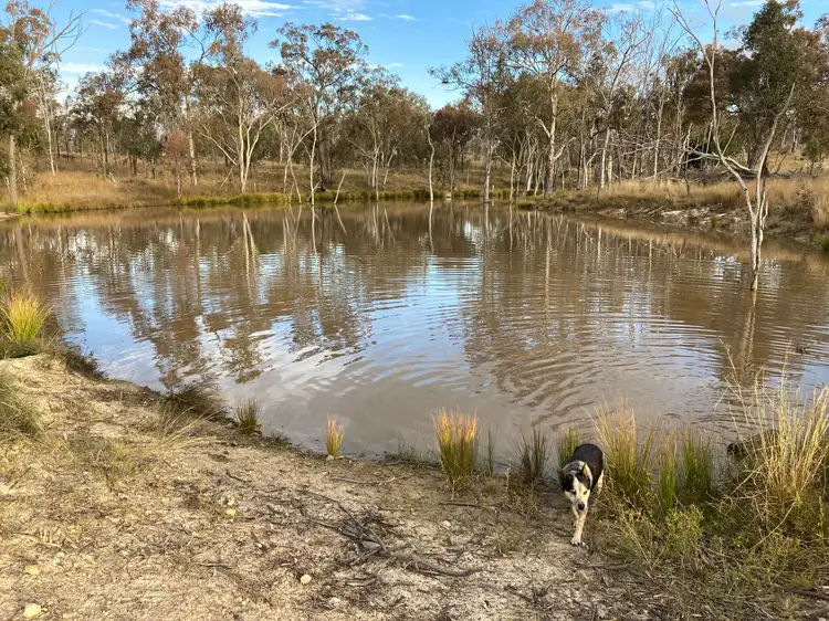 Main view of Homely rural property listing, 860 Mountain Maid Road, Greymare QLD 4370