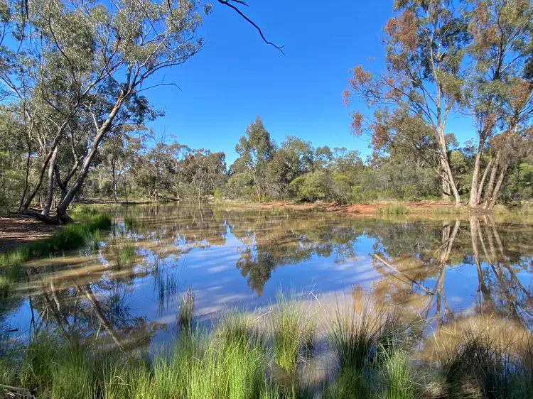 Main view of Homely rural property listing, Lot 15 DP752086 Carlisle Road, Fifield NSW 2875