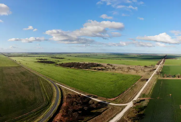 Fourth view of Homely rural property listing, 1650 Nullawil Lalbert Road, Wangie VIC 3530