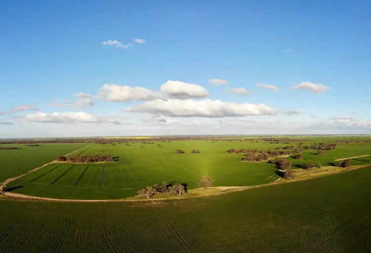 Fifth view of Homely rural property listing, 1650 Nullawil Lalbert Road, Wangie VIC 3530