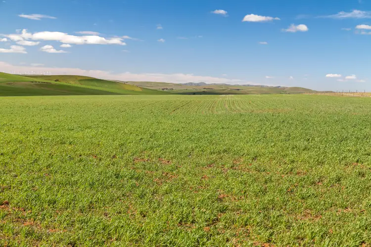 'Clappys' Lot 32 Baileys Track, Booborowie SA 5417