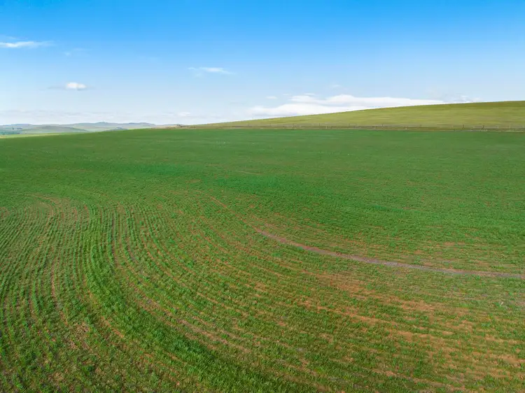 Fifth view of Homely rural property listing, 'Clappys' Lot 32 Baileys Track, Booborowie SA 5417