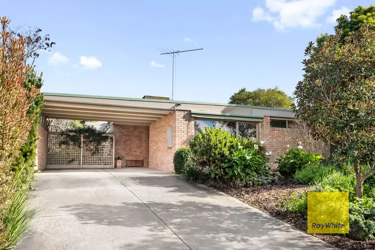 Main view of Homely house listing, 8 Triumph Court, Highton VIC 3216