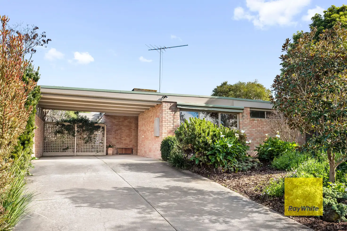 Main view of Homely house listing, 8 Triumph Court, Highton VIC 3216