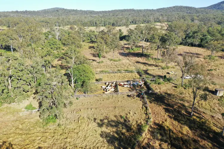 Third view of Homely rural property listing, "Moolyung" 264 Moolyung Road, Waterloo QLD 4673