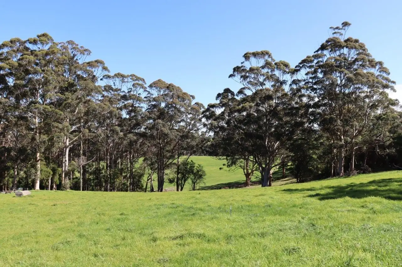 Main view of Homely land listing, 103 Middleton Close, Denmark WA 6333