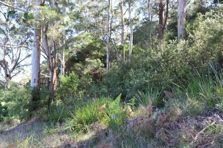 Fifth view of Homely land listing, 103 Middleton Close, Denmark WA 6333
