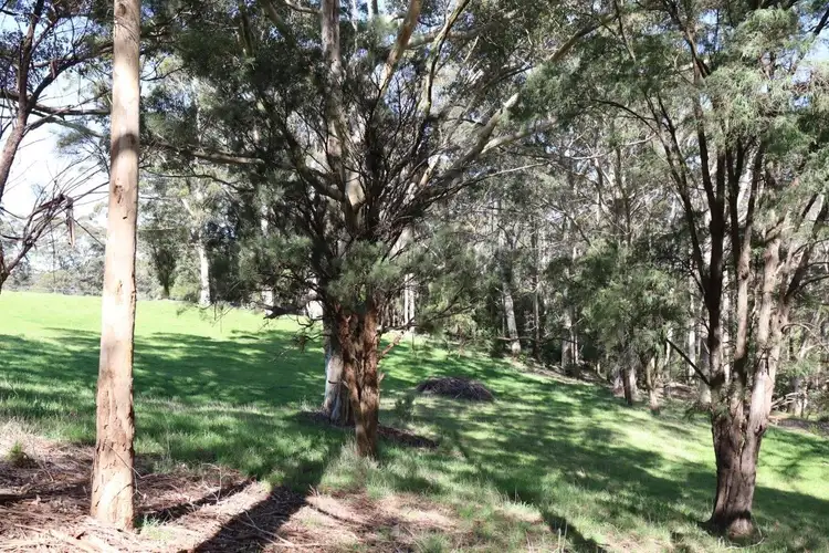 Seventh view of Homely land listing, 103 Middleton Close, Denmark WA 6333
