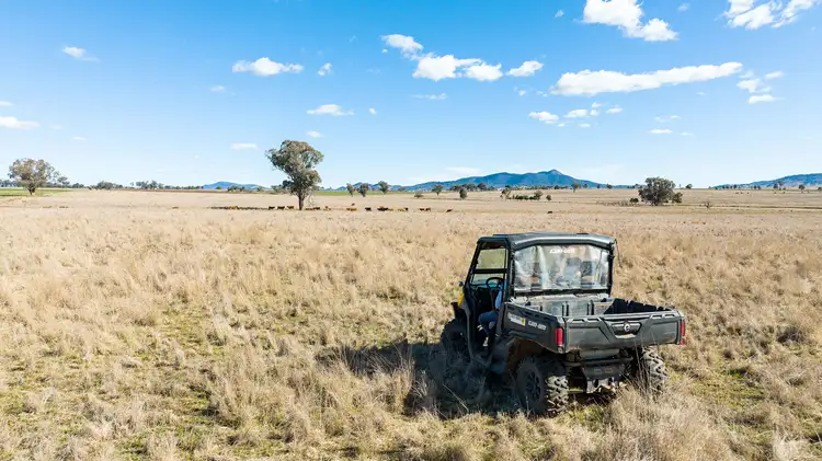 Fifth view of Homely rural property listing, 'Fourwinds' 815 Duri-Wallamore Road, Tamworth NSW 2340