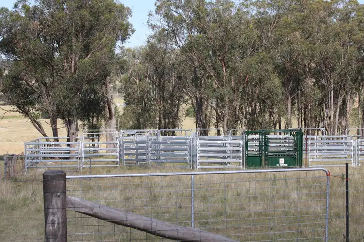 Fourth view of Homely rural property listing, 110 Silverton Road, Armidale NSW 2350