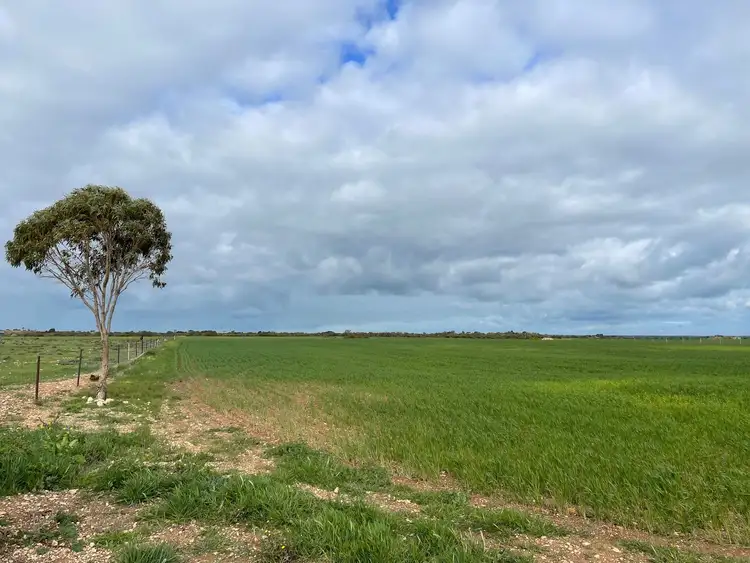 Fourth view of Homely rural property listing, Lot 136 Copper Lane, Kadina SA 5554
