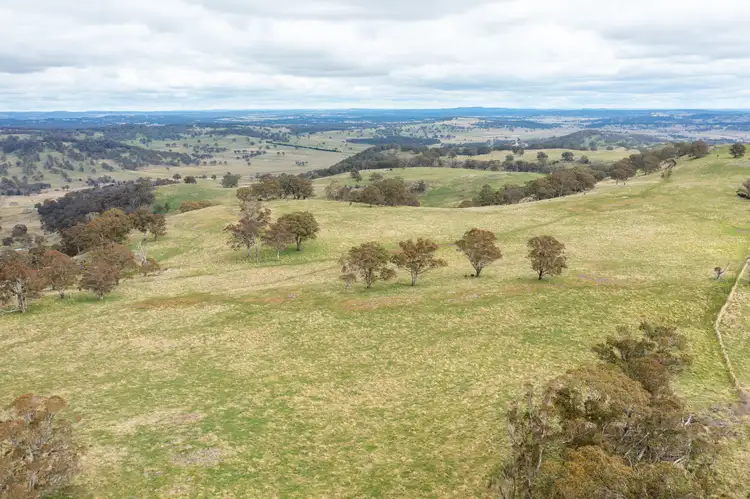 504 Moredun Road, Ben Lomond NSW 2365