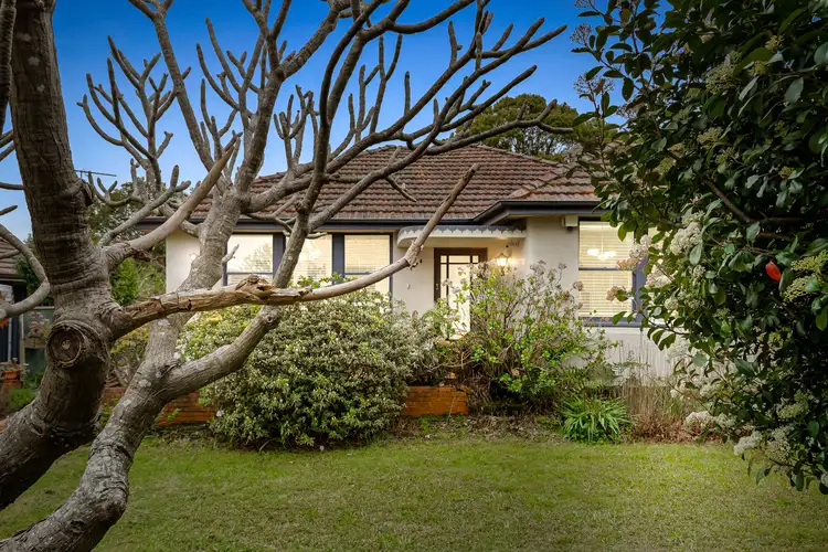 11 Douglas Street, Earlwood NSW 2206