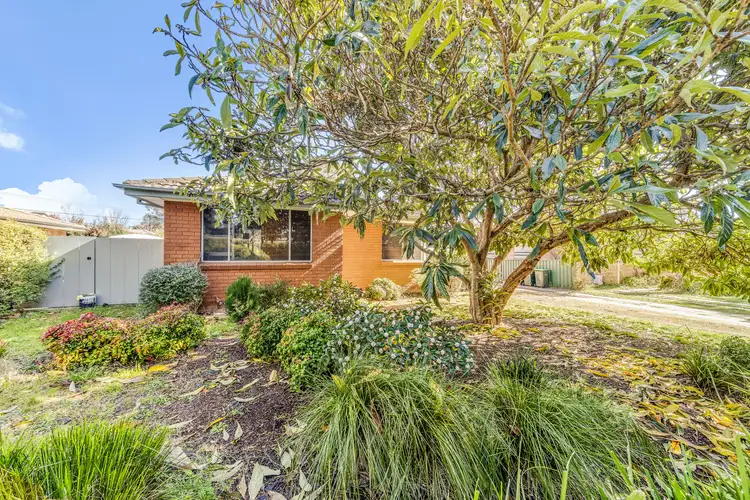 27 Krichauff Street, Page ACT 2614