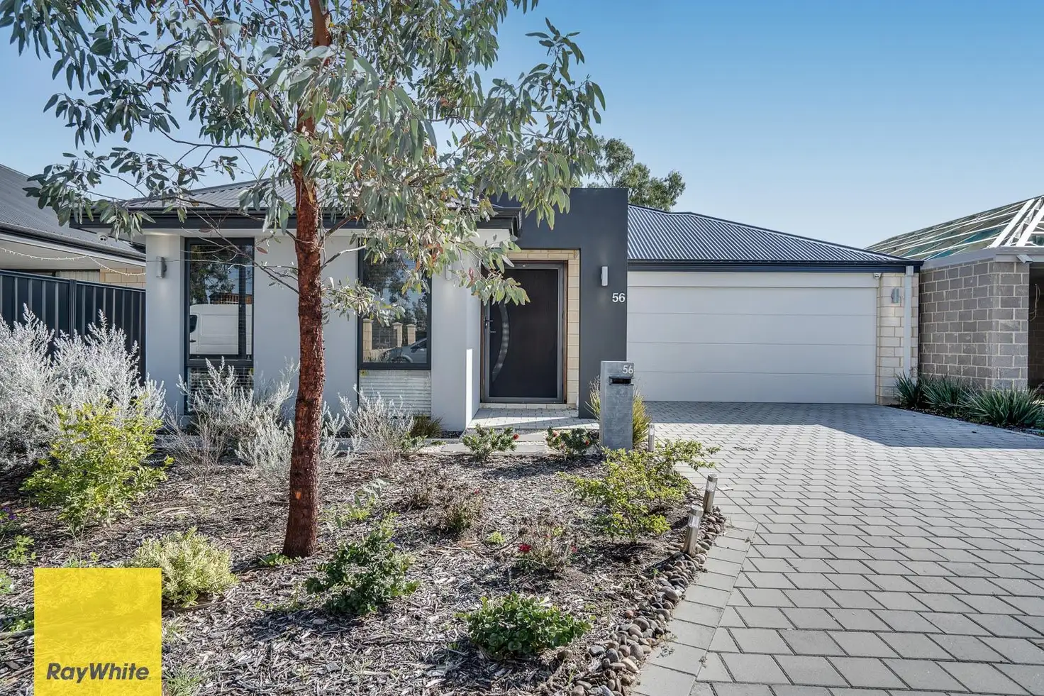 Main view of Homely house listing, 56 Berryana Loop, Girrawheen WA 6064