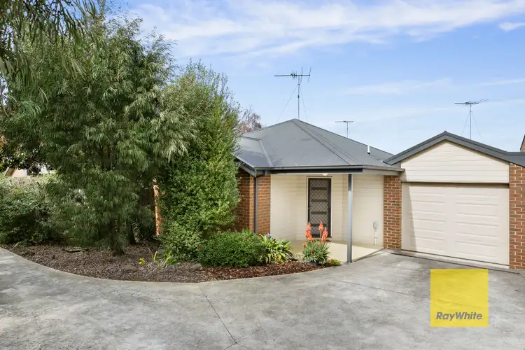 Main view of Homely unit listing, 5/52 Torquay Road, Belmont VIC 3216