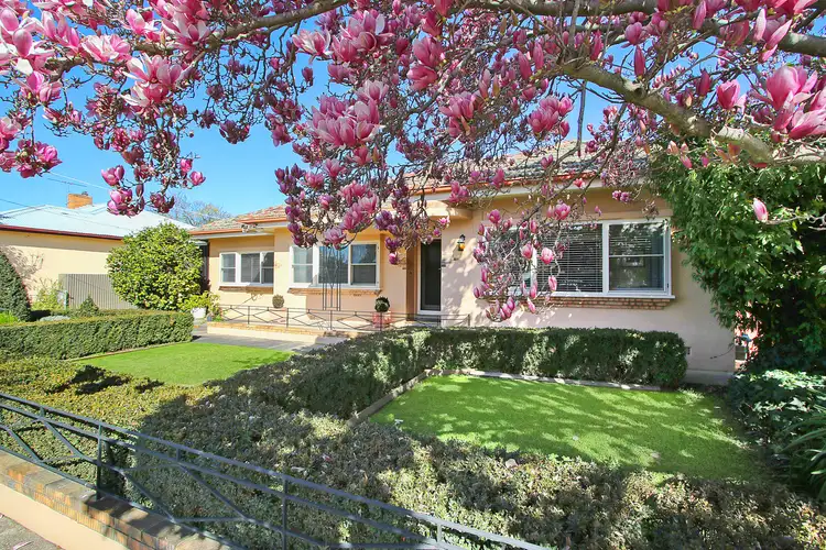 3 Griffith Street, Wodonga VIC 3690