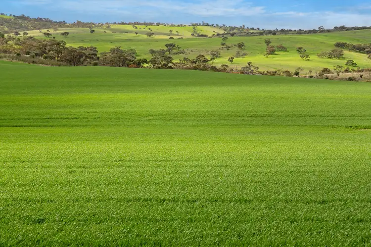 Main view of Homely rural property listing, 'Broughts' Lot 321 Marola Road, Yacka SA 5470