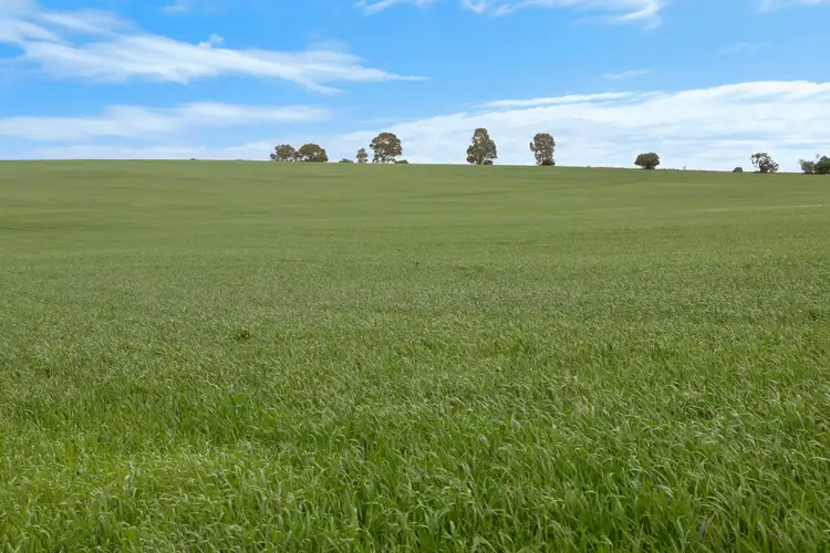 Fourth view of Homely rural property listing, 'Broughts' Lot 321 Marola Road, Yacka SA 5470