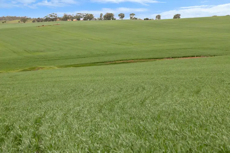 Fifth view of Homely rural property listing, 'Broughts' Lot 321 Marola Road, Yacka SA 5470