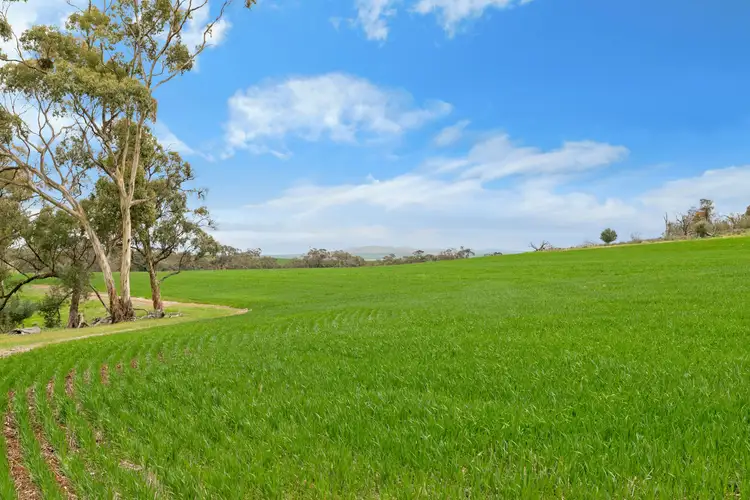 Sixth view of Homely rural property listing, 'Broughts' Lot 321 Marola Road, Yacka SA 5470