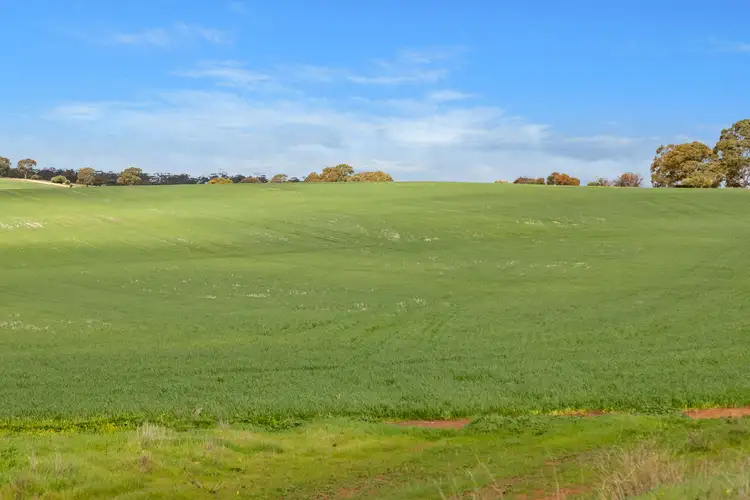 Seventh view of Homely rural property listing, 'Broughts' Lot 321 Marola Road, Yacka SA 5470
